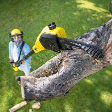 Best Weed Control  in Crandon Lakes, NJ