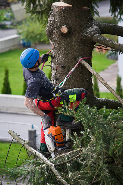 Best Emergency Tree Removal  in Crandon Lakes, NJ