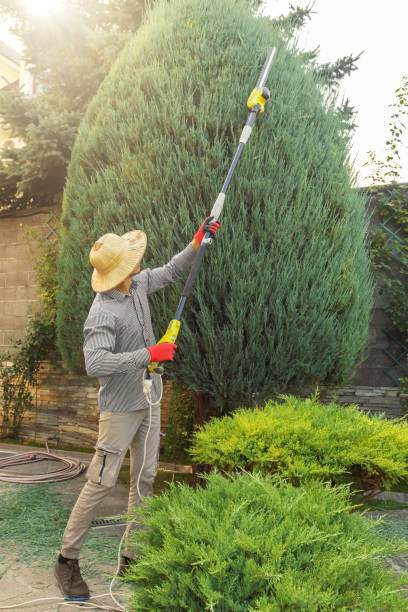 Best Leaf Removal  in Crandon Lakes, NJ